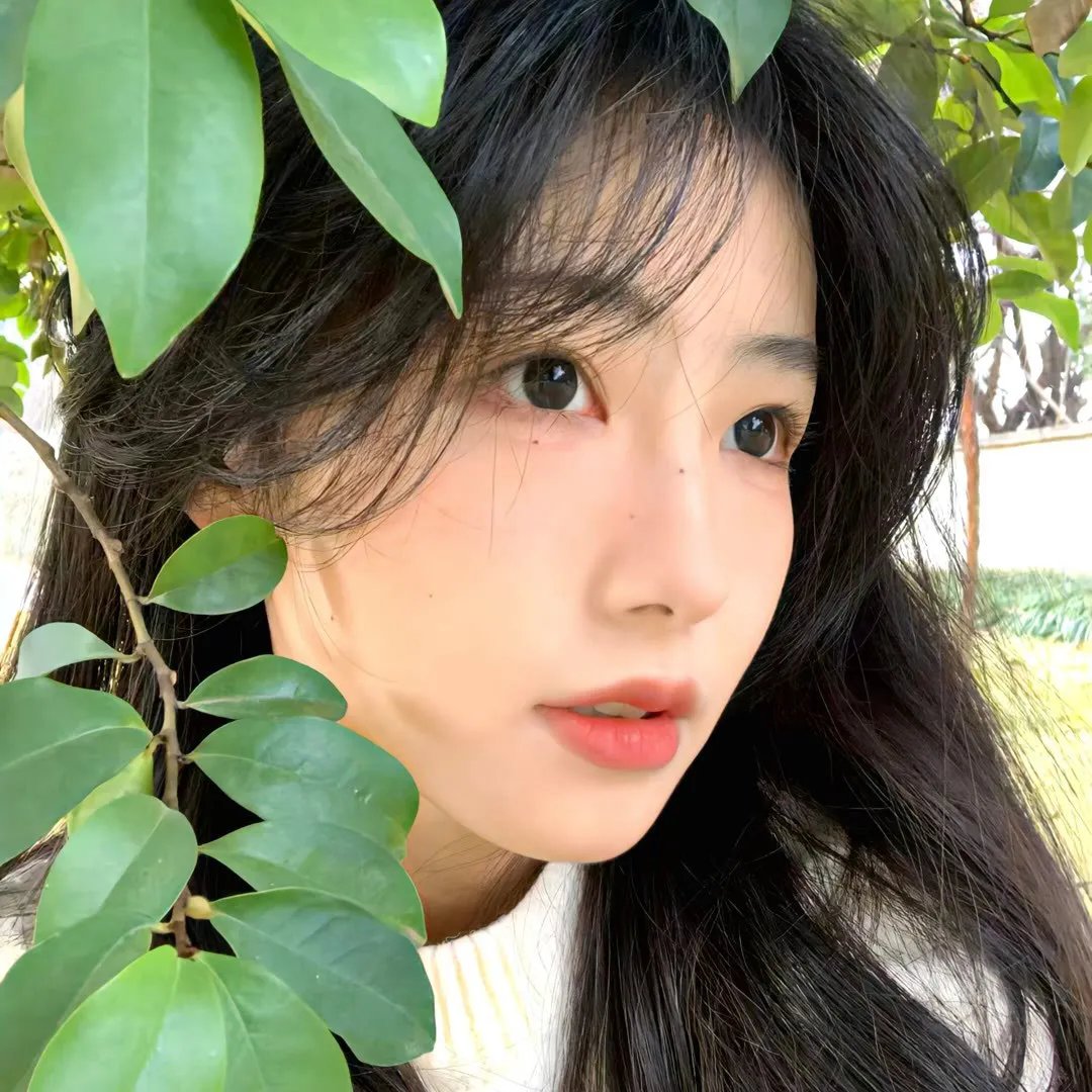 爱情情感