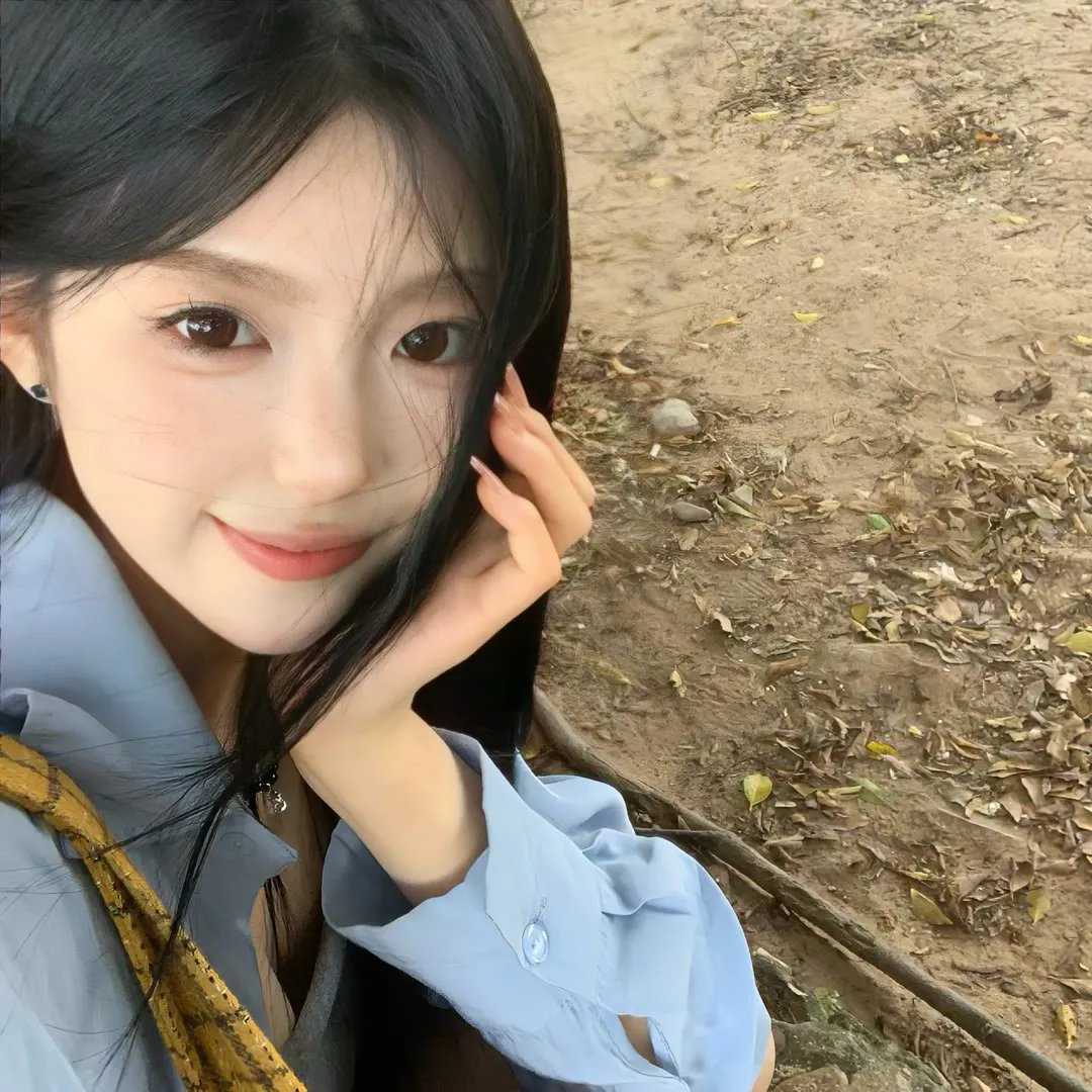 花圃里的蝴蝶