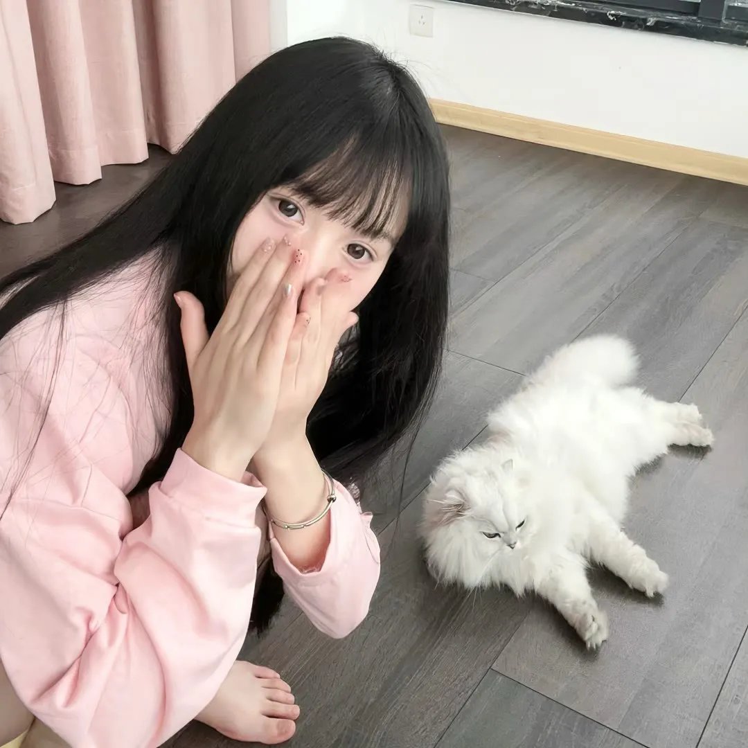 他们她们
